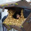 25_10_lburg_schatztruhe_unterwegs