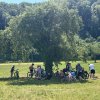26_26_slowup_baum