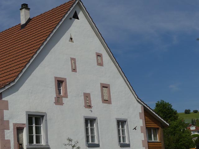 Am Ostgiebel des Schaffnerhauses herrscht reger Flugbetrieb. Foto: Werner Fasolin
