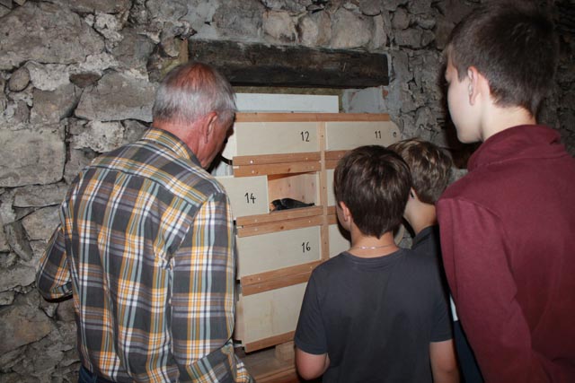 Werner Fasolin zeigt drei interessierten Jungs aus der Nachbarschaft, wie er von innen die Nester inspizieren kann. Foto: Sonja Fasler Hübner