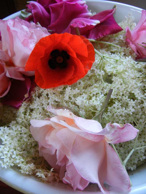 Die Flora der Frau. Foto: Sonja Wunderlin