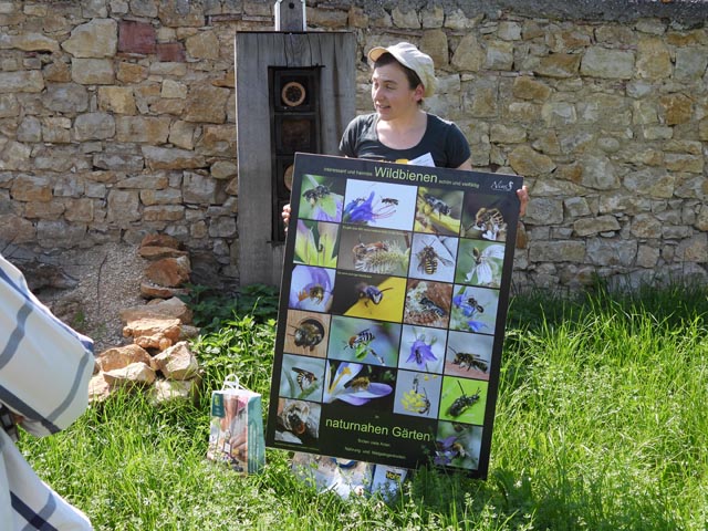 Anja Trachsel mit Wildbienen-Präsentation. Foto: Peter Bircher