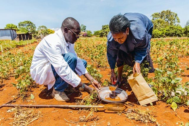 Forschen für die agrarökologische Zukunft: Auf einem Feld werden im Rahmen des SysCom-Projekts Bodenproben gesammelt. Foto: zvg/P