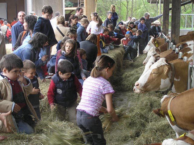 Viel zu sehen gibt's auf dem Bauernhof. Foto: zVg