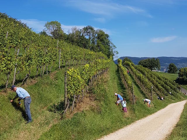 Foto: Benno Zimmermann