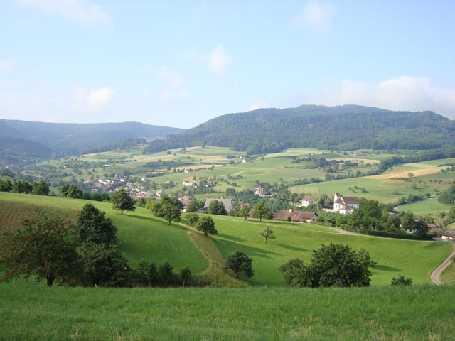 Willkommen in Wölflinswil