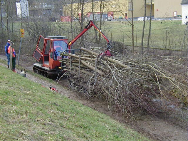 Sicherheitsholzschlag entlang der Birs. Foto: zVg