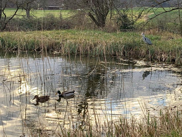 Foto: Margrit Freudemann