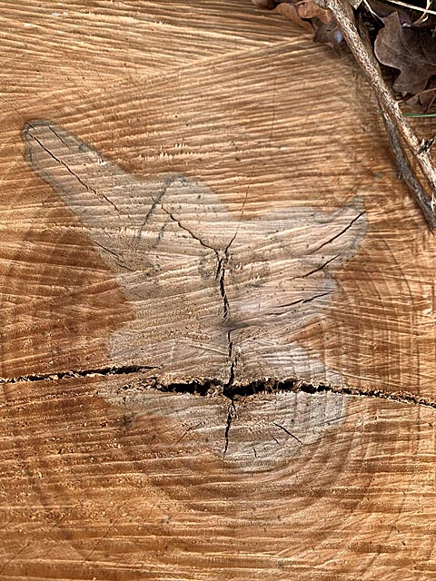 Foto: Margrit Freudemann