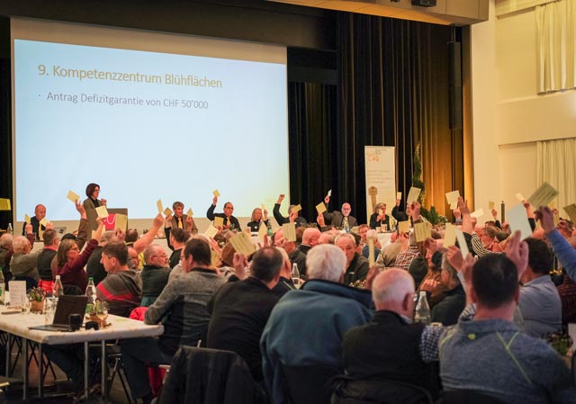 Die Delegierten von BienenSchweiz beschlossen einstimmig, das Projekt «Kompetenzzentrum Blühflächen3» finanziell zu unterstützen. Foto: zVg