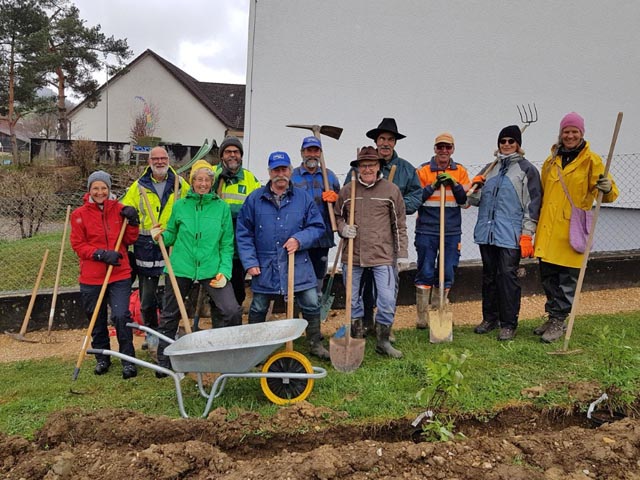 Die elf Grauschnäpper und Grauschnäpperinnen. Foto: Benno Zimmermann