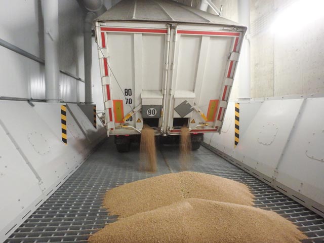 Lieferung von Weizen: Foto: fenaco