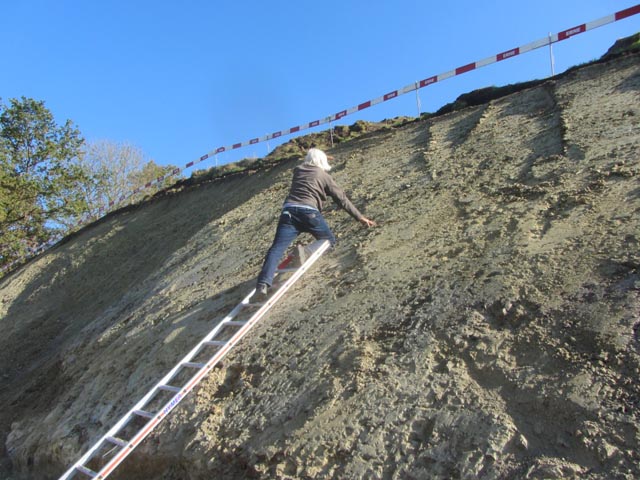 Die Fundstelle wird genauer untersucht. Foto: zVg
