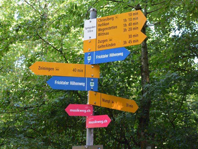 Die gelben (Wanderweg) und blauen (Fricktaler Höhenweg) Wegweiser wurden für den Musikweg neu durch pinke Wegweiser ergänzt. Foto: zVg