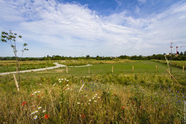 Nördlicher Teil des Parc des Carrières. Foto:©Ville de Saint-Louis