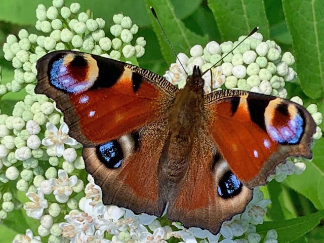 Foto: Margrit Freudemann