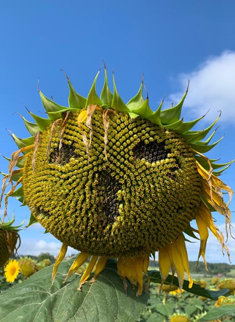 Foto: Margrit Freudemann