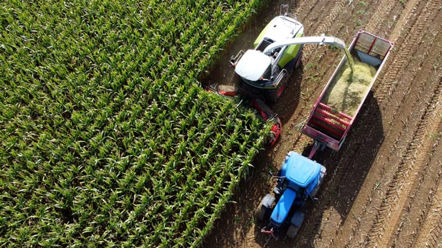 Foto: Bianca Kühweidner, Frick