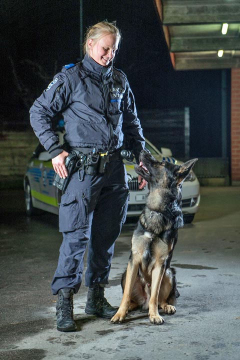 Diensthund "Eyk" stellte zwei Einbrecher. Foto: Polizei AG