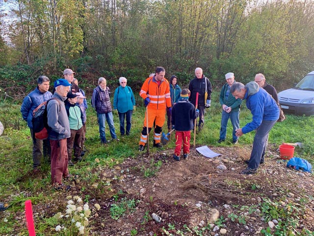 Fleissig waren sie, die etwa 20 Helfer, die sich am 9. Rheinfelder Naturschutztag engagierten. Foto: zVg