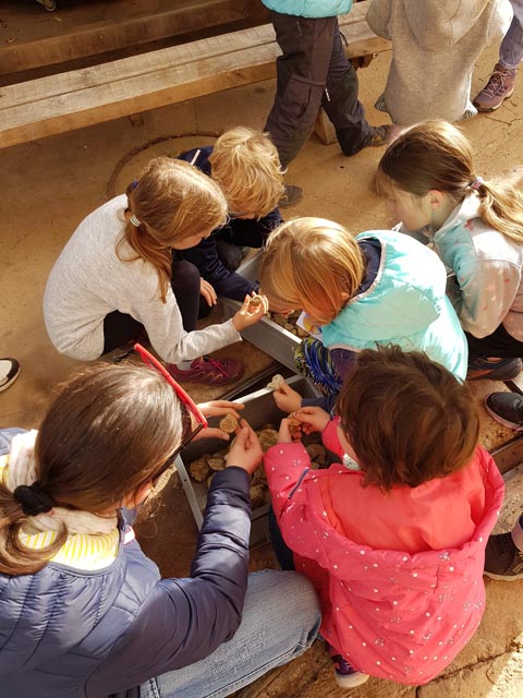 Auf dem Klopfplatz wurde bald nach kleinen Schätzen im Gestein gesucht.  Foto: zVg