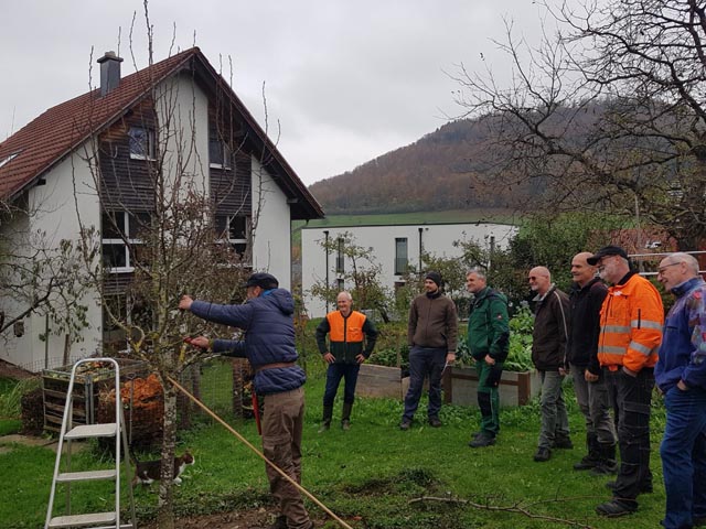 Viel lernen konnten die Teilnehmer des Baumschnittkurses. Foto: Benno Zimmermann