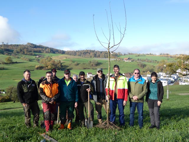 Die Baumpflanzequipe; Im Hintergrund (rechts vom Jungbaum) der Endelhof von Gregor Rehmann, von wo der ursprüngliche Kaister Feldapfel herkommen. Foto: Jörg Wägli