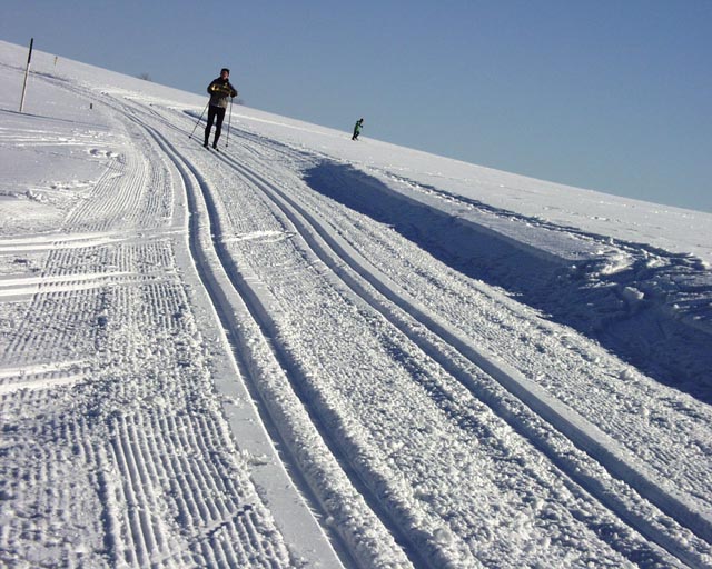 Bei guten Schneeverhältnissen lohnt sich ein Ausflug zu den Loipen im Hotzenwald. Foto: Peter Schütz