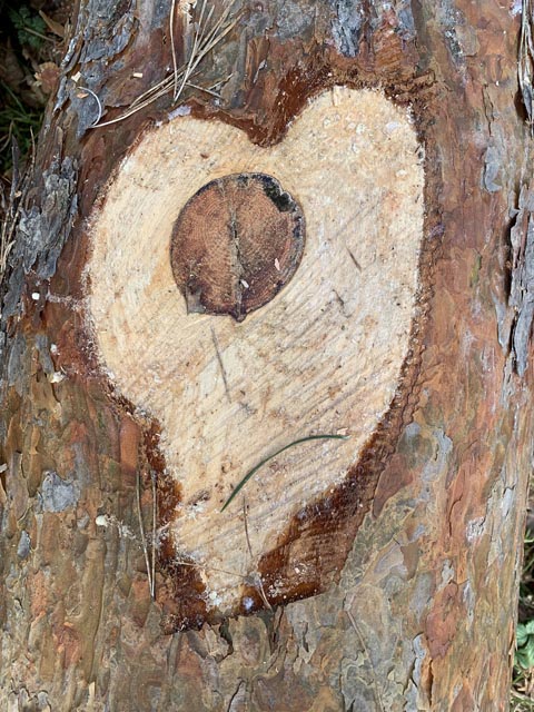 Foto: Margrit Freudemann