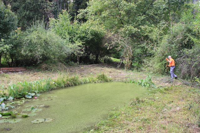 Das Naturschutzgebiet drohte zu verlanden. Foto: zVg