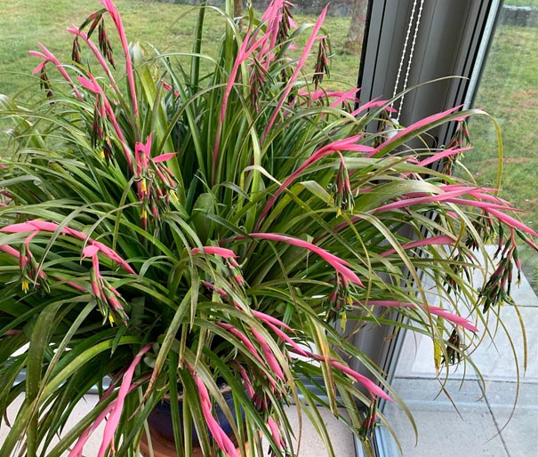 Foto: Margrit Freudemann