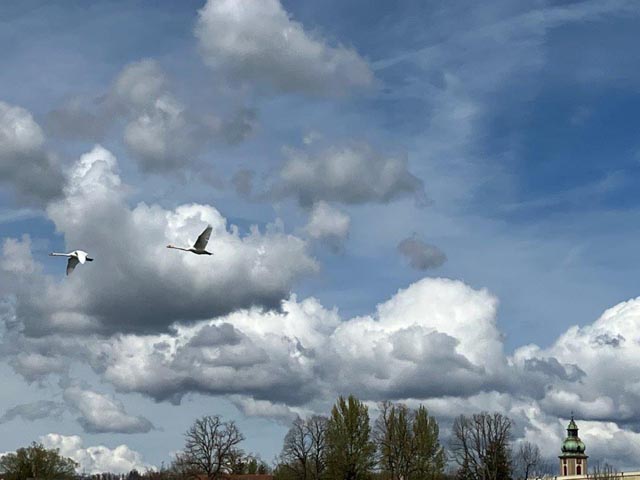 Foto: Heidy Wetter, Rheinfelden