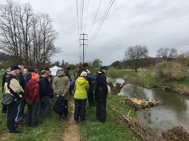 «Die Wurzelstöcke und Buhnen fördern die Strukturvielfalt und bieten Fischen und anderen Wasserorganismen Rückzugsmöglichkeiten», sagte Regula Bachmann-Steiner, Vorstandsmitglied des WWF Aargau, anlässlich des Einweihungsfests am Samstag. Fotos: WWF Aargau
