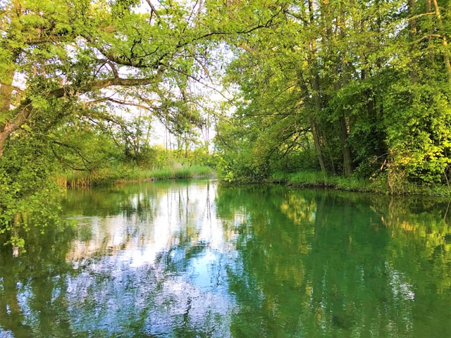 Der Aabach. Foto: zVg