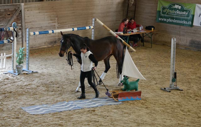 Gymkhana und Patrouillenritt in Möhlin. Foto: zVg