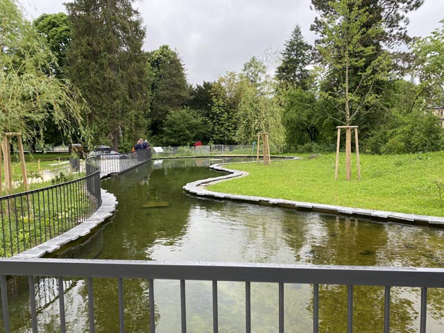 Die Weiherumgebung wurde neu befplanzt. Foto: Sonja Fasler