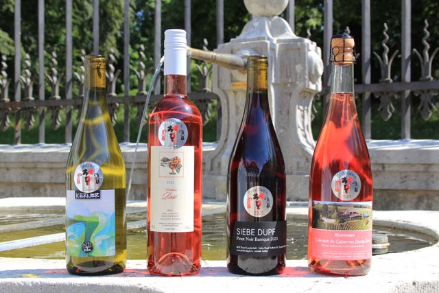 Die vier Siegerweine der Staatsweine der Kantone Basel- Landschaft und Basel-Stadt 2023. Foto: Brigitte Recher.