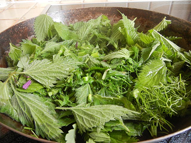 Wildkraeuterpfanne. Foto: zVg