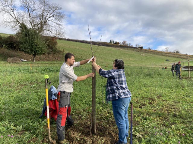 Gemeinderätin Vesna Wöhler und Dominik Hügli von BirdLife Schweiz mit einem Jungbaum Foto: © Jurapark Aargau