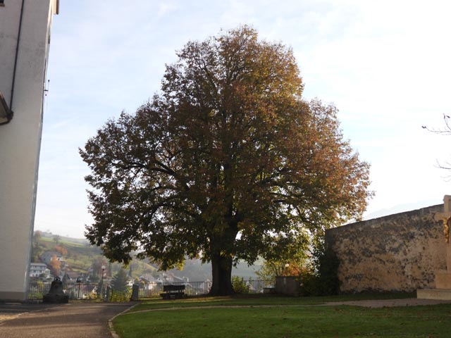 Die geschenkte Naherholung in der Natur kann nicht näher beziffert werden. Foto: Peter Bircher