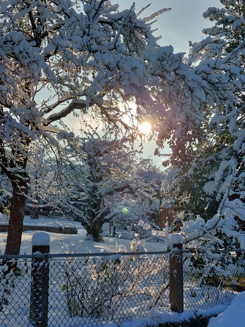 Foto: Bianca Kühweidner