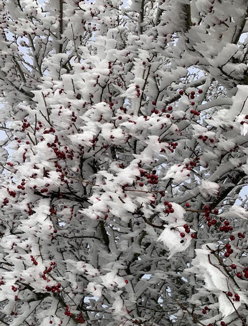 Foto: Margrit Freudemann