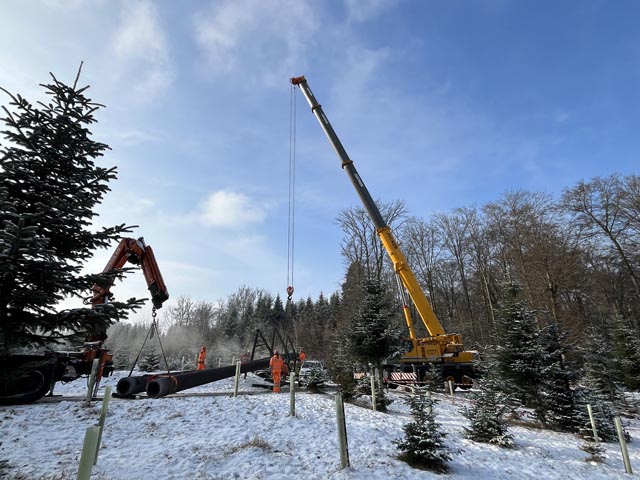 Rückbau der Strommasten im Zopfhau Bremgarten 
