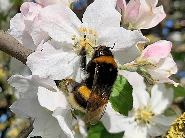 Foto: Margrit Freudemann