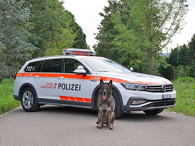 Vor dem Polizeiauto Diensthund «ilCapo vom Wolfsblut», genannt «Capo», ein zehnjähriger Deutscher Schäferhund. Foto: Polizei BL