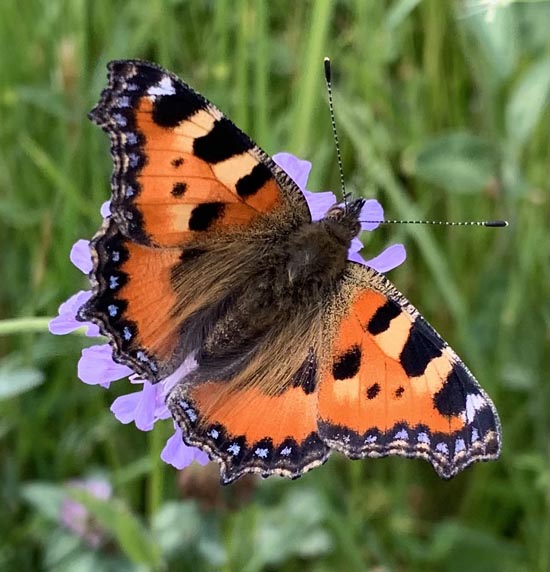 Foto: Margrit Freudemann