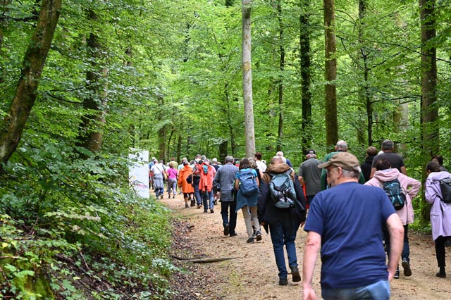 Möhlin: Waldbereisung durch den Melmer Wald.