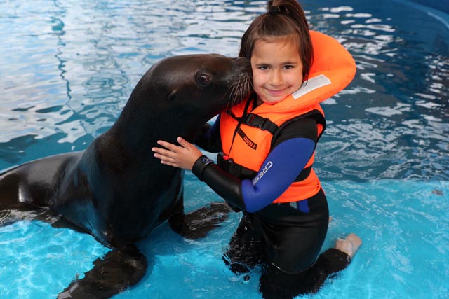 Yara schwimmt mit den Lipperswiler Seelöwen. Foto: zVg