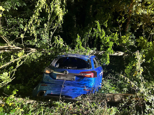 Möhlin: Mit dem Auto im Wald gelandet
