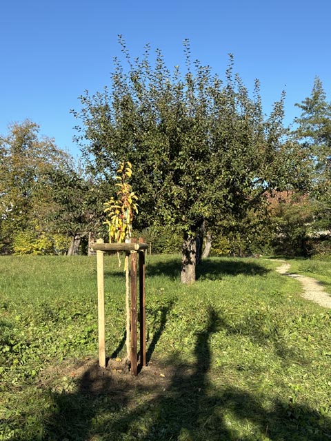 Foto: zVg